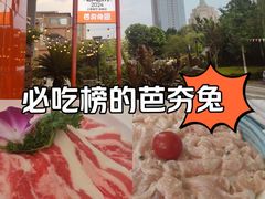 -芭夯兔·兔肉汤锅(新都店)