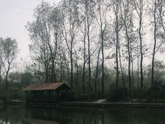 -溱湖国家湿地公园