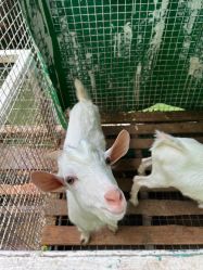 -可可天空农场(中大店)