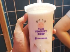 -一只酸奶牛(奎星楼店)