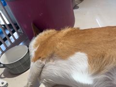 -平行世界·猫咖(首经贸店)