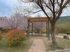 -浮来山风景区