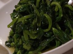 高山豆苗-南麓·浙里(外滩店)