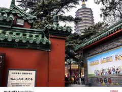 -八大处公园