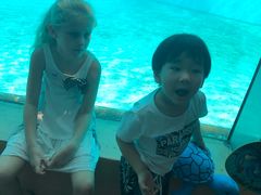 -暹罗海洋世界