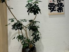 -Makumo·卷云家庭料理餐厅(美糖广场店)