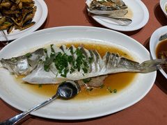 -船歌·鱼水饺青岛菜(闽江二路店)