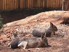 -云南野生动物园