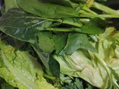 -鱼酷活鱼烤鱼(恒隆广场店)