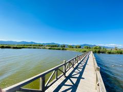 -野鸭湖国家湿地公园