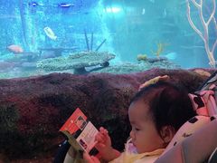 -沈阳海洋探索中心