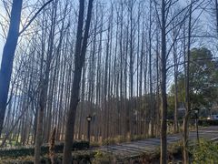 -石塘人家
