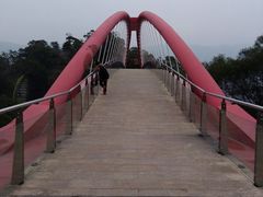-金鸡山公园