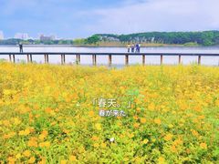 -海珠湖公园