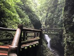 -青城山