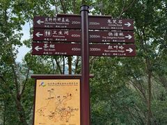 -北京西山国家森林公园