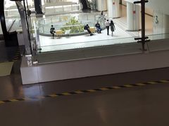 -南方医科大学深圳医院