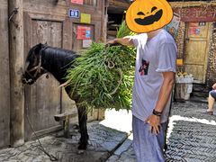 -西江千户苗寨-百年吊脚楼