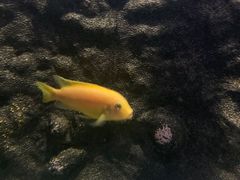 -洛阳龙门海洋馆