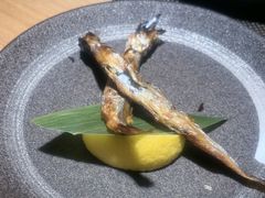 -德川家日本料理(顺义华联店)