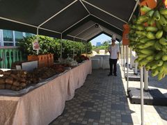 -广州花之恋城堡酒店