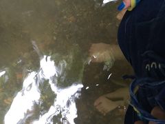 -乌鲁淡布隆国家公园
