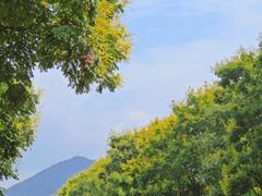 -玄武湖景区-情侣园游乐场