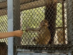 -长白岛森林公园