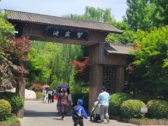 -习家池