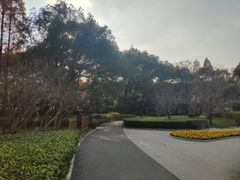 -徐家汇源景区-衡山公园