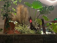 -雲說·花(西宸天街店)