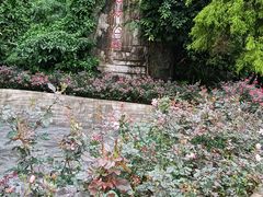 -梧桐山风景名胜区