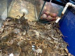 -遇上西雅图多融合海鲜自助餐厅(中房金谊广场店)