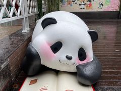 -轩客会(熊猫书店)