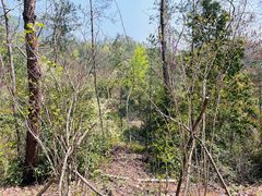 -天台山赤城山景区