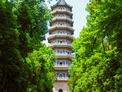 -灵谷景区