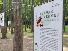 -杭州植物园
