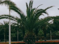 -黄金海岸环岛路