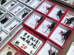 -万商花鸟市场