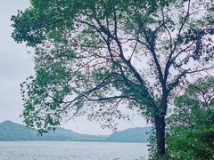 -青山湖景区
