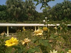 -人民公园(罗湖区)