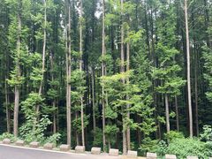-山王坪喀斯特国家生态公园