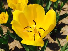 -长春公园(普阳街道)