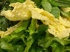 蔬菜拼盘-海南椰子鸡餐厅(三亚湾红树林店)