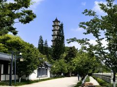 -江心屿景区