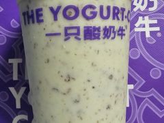 -一只酸奶牛(奎星楼店)