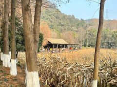 -八卦田遗址公园