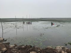 -洪泽湖古堰景区