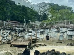 -黔灵山公园