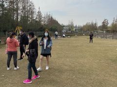 -前小桔亲子创意农场·草莓采摘·露营烧烤